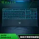 雷蛇Razer Ornata V3X 雨林狼蛛 薄膜式RGB鍵盤