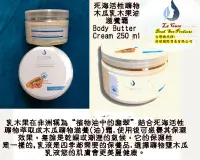 在飛比找PChome24h購物優惠-死海活性礦物木瓜乳木果油滋養霜 Body Butter Cr