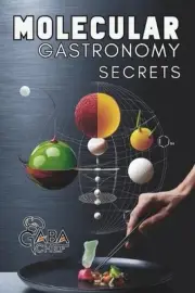 Molecular Gastronomy Secrets: Advanced Techniques for Artistic Modern Cooking: U
