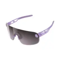 在飛比找蝦皮購物優惠-[POC] Elicit 競賽款運動眼鏡 紫框/紫片 附透明