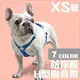 Ω米克斯Ω-PPARK i系列 H型胸背帶（XS號）迷你犬狗用,顏色隨機出貨