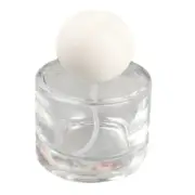 Portable 30ml Refillable Clear Glass Perfumes Bottle Empty Atomizer Bottle