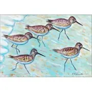 Betsy Drake Coastal Sandpipers Multicolored Polyester Door Mat 18x26