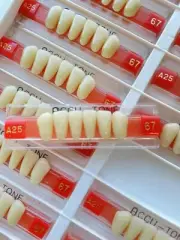 Acrylic Resin False Teeth Accu-tone Anterior lower A3/67-A25 dentures box 120pcs