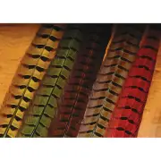 Hareline Ringneck Pheasant Tail Feathers - All Colors