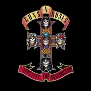 Guns & Roses Appetite For Destruction - Vinyl Album & Crosley Record Storage Display lay Stand
