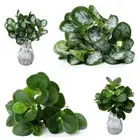 Silk Artificial Plant Leaves DIY Fake Plants Courtyard Ornament
