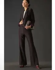 Scotch & Soda Women's High Rise Flare Sequin Pants Wool Blend NWT Size 30