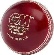 Gunn & Moore GM Leather Cricket Match Ball