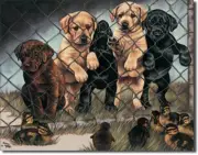 Jailbirds Yellow Chocolate and Black Labrador Retrievers Hunting Metal Sign