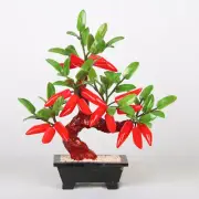 Hot Pepper Jade Plant Tree Bonsai Stone Gemstone Leaves Red Chili Vegetables