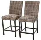 Agio Anderson Counter Height Chairs 2 Piece Set Indoor Outdoor Kitchen New