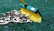 BroomaRake Extra Large Broom Rake, Telescopic Handle included
