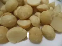 在飛比找Yahoo!奇摩拍賣優惠-【野果集工坊】原味夏威夷豆Plain Macadamia N