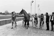 French cyclist Raymond Poulidor challenges a horse for a 1000m rac- Old Photo