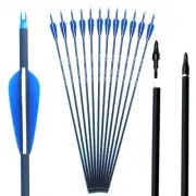 28/30/31 Inch Spine 500 Carbon Arrow for Compound & Recurve Bow