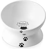 Y YHY Ceramic Raised Cat Food Bowl, Slanted Cat Dish, Tilt Angle Protect Cat's Spine, Stress Free, Backflow Prevention, Cat, White