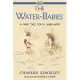 The Water-babies (A Fairy Tale for a Land-baby)