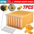 7 PCS Free Flowing Honey Hive Beehive Frames for Brood Beekeeping Box House AU