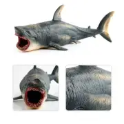 Megalodon-Prehistoric Shark Ocean Animal Figure Toy Kids Toys Gifts Shark ModelC