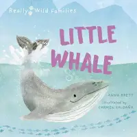在飛比找博客來優惠-Little Whale: A Day in the Lif