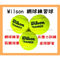 在飛比找蝦皮購物優惠-台北小巨蛋店🇹🇼 Wilson Slazenger 無壓網球