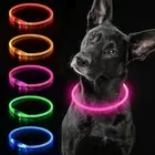 RECHARGEABLE LED PET GLOW COLLAR night safety adjustable flash light-up FOR dog
