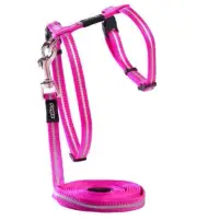 Rogz Alleycat Harness & Lead Set Pink Xsml