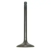 New Intake Valve Fits Yamaha Raptor SE Wolverine By 017-308-01 1UY-12111-01-00