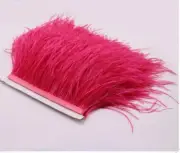 Watermelon Red Ostrich Feather Trims Fringes Sewn on Feather 1 Yard