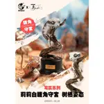 🚀SCC玩具屋《GK模型預購》動物星球×真工房 莉莉白守宮樹棲姿態