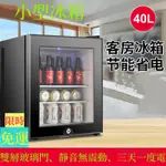[免運] 110V迷你冰箱 40L小冰箱 單門小冰箱 低噪靜音 節能省電 飲料冰箱 果蔬保鮮冰箱 恆溫箱 夏季必備