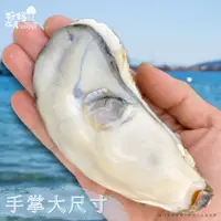 在飛比找蝦皮商城優惠-【好嬸水產】日本空運旨味極上生食級生蠔｜非牡蠣｜150-20