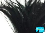 5 Pieces - BLACK BLEACHED Peacock Swords Cut Feathers