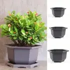 Water Plant Container Planter Succulent Box Plant Pot Hexagon Flower Pots