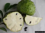 Buy Soursop Fruit Trees in Australia (Annona muricata)