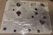 Assorted Button