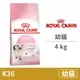 【法國皇家 Royal Canin】(K36) 幼貓 4公斤 (貓飼料)