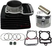 Repair Parts Motorcycle Cylinder Kit for Yinxiang CG250 YX250 Forte 250cc 65.5mm Bore 250cm³ Accessories