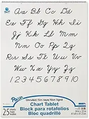 Chart Tablet 24X32 Unruled 25 Ct -- Case of 4