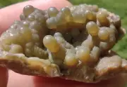 Agatized Coral Rare Crystal Natural Mineral Agate Piece Stunning Specimen Druzi