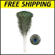 Versatile 20pcs Natural Peacock Feathers Bulk - 40-45 Inch for Crafting & Decor