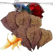 Aquarium Catappa Leaves - Natural Betta Conditioner, Premium Almond Leaves | Organic Fish Habitat Enhancer, Water Quality Stabilizer, Fish Tank Tannin Leaves, Shrimp Leaves for Tannin Enrichment