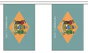 DELAWARE U.S. STATE BUNTING 9 metres 30 flags Polyester flag