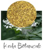 ELDERFLOWER Herbal Tea PREMIUM GRADE Sambucus nigra Dried Flowers