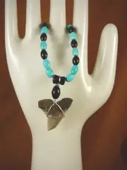 s319-81) 1-1/2" Fossil Hemipristis Shark Tooth Turquoise necklace snaggletooth