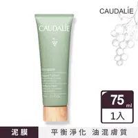 在飛比找momo購物網優惠-【Caudalie 歐緹麗】淨膚面膜 75ml