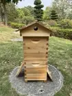 10X Upgraded Auto Honey Beehive Bee hive MINi Frames + Beekeeping Brood Wood Box