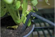 Maze Greenhouse Dripper Kit