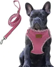 [aiminto] Premium Denim Dog Harness and Leash Set, Step in, Breathable Mesh, Lightweight, Reflective Vest Harness - for Medium Dogs (Pink, M)